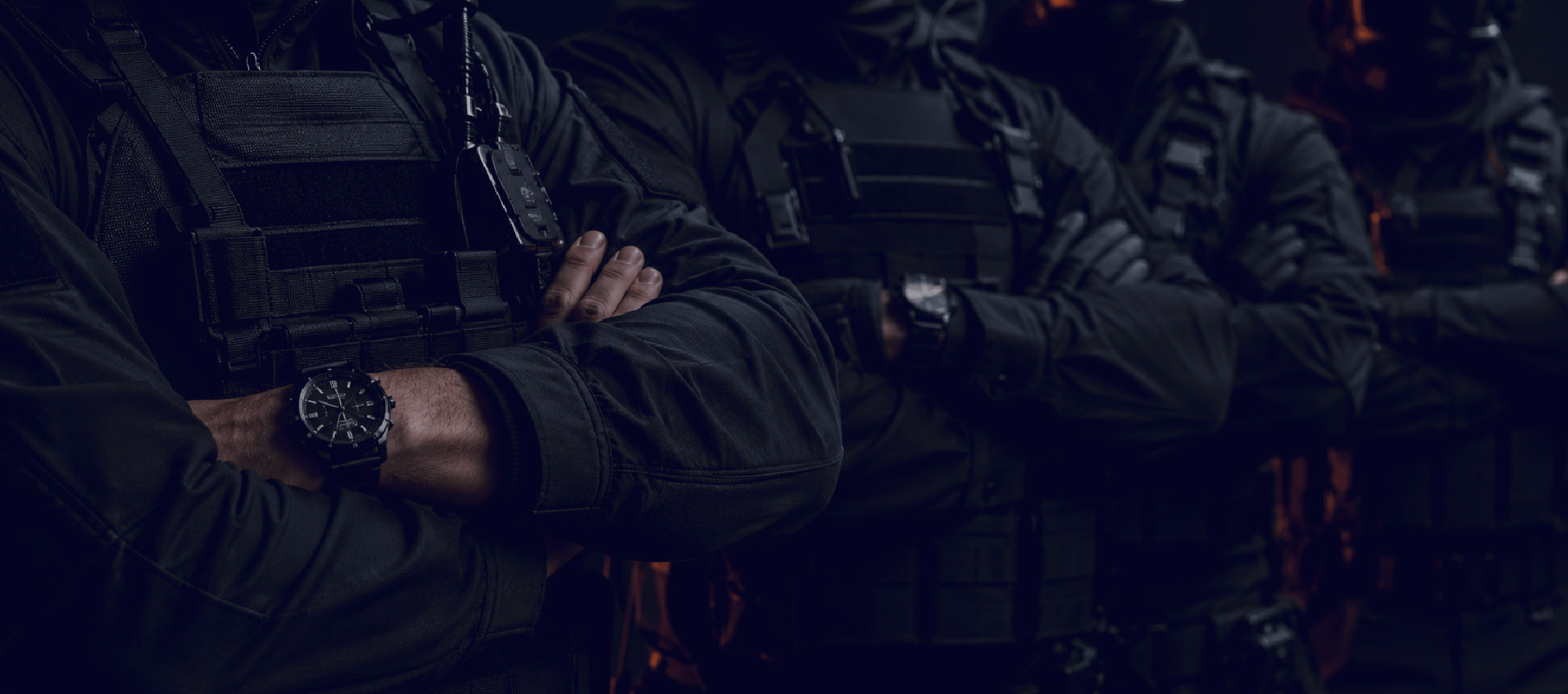 Zerion - Seguridad y Defensa